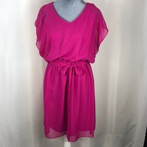 MSK Pink sheer dress Size 8P